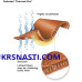 Термобрюки Vision Thermal Pro Trousers V5060